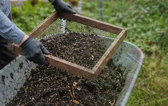 Behandschuhte Hände sieben reifen Kompost über einer Gartenschubkarre; Thema Kiwi, Schwerpunkt Fehlerhilfe; Ergebnis.