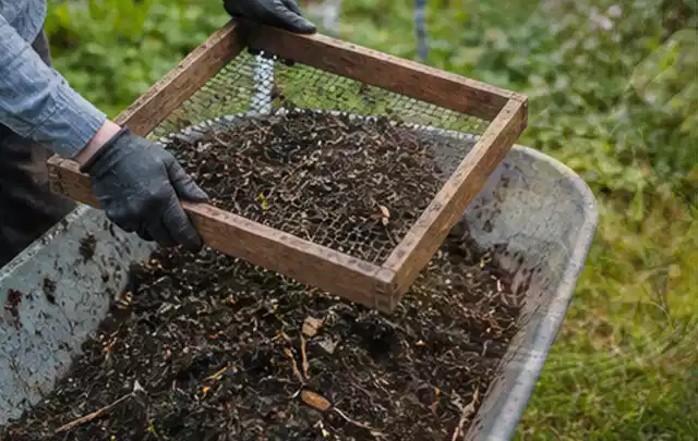 Behandschuhte Hände sieben reifen Kompost über einer Gartenschubkarre; Thema Kiwi, Schwerpunkt Gewächshaus; Ergebnis.