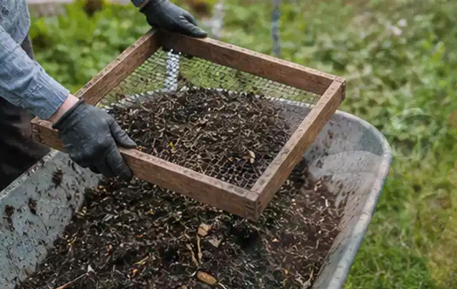 Behandschuhte Hände sieben reifen Kompost über einer Gartenschubkarre; Thema Kiwi, Schwerpunkt Pflanzenschutz; Ergebnis.