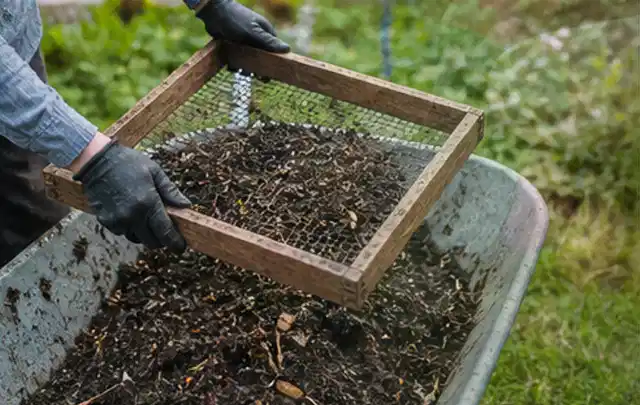 Behandschuhte Hände sieben reifen Kompost über einer Gartenschubkarre; Thema Kiwi, Schwerpunkt Saisonkalender; Kontrolle.