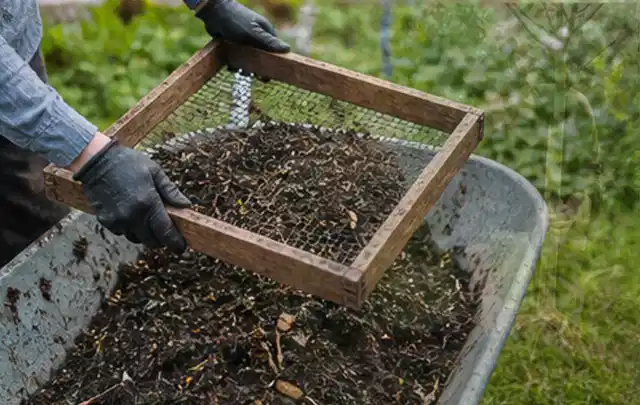 Behandschuhte Hände sieben reifen Kompost über einer Gartenschubkarre; Thema Knoblauch, Schwerpunkt Balkongarten; Ausgangslage.