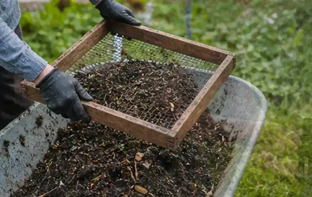 Behandschuhte Hände sieben reifen Kompost über einer Gartenschubkarre; Thema Kohl, Schwerpunkt Balkongarten; Praxisalltag.