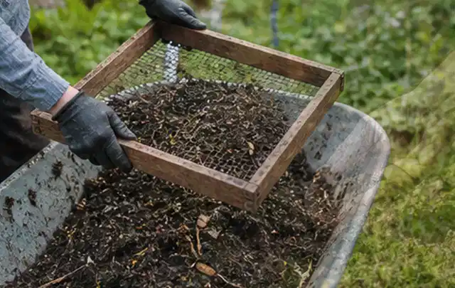 Behandschuhte Hände sieben reifen Kompost über einer Gartenschubkarre; Thema Kohl, Schwerpunkt Ernte; Ausgangslage.