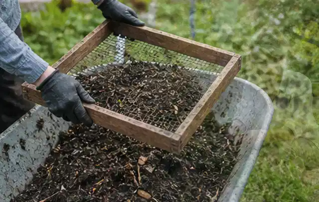 Behandschuhte Hände sieben reifen Kompost über einer Gartenschubkarre; Thema Kohl, Schwerpunkt Fehlerhilfe; Ausgangslage.