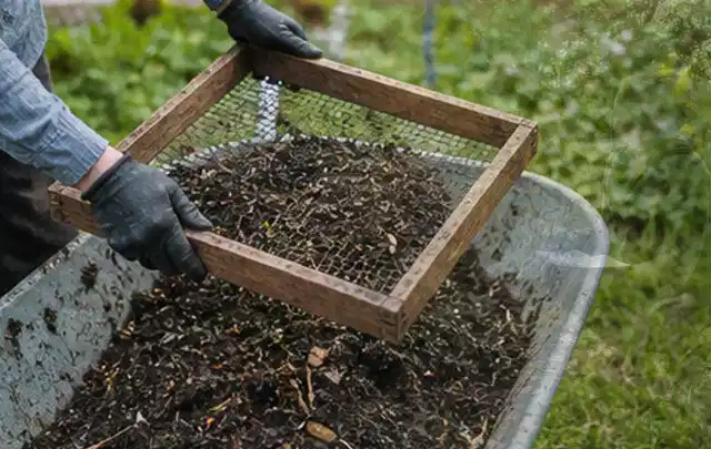 Behandschuhte Hände sieben reifen Kompost über einer Gartenschubkarre; Thema Kohl, Schwerpunkt Pflanzenschutz; Umsetzung.
