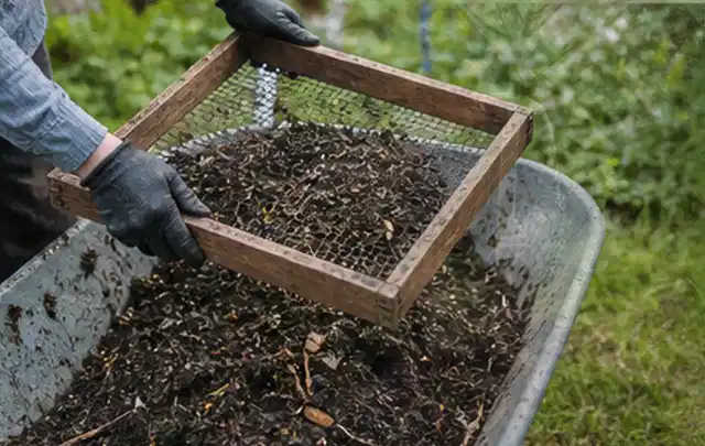 Behandschuhte Hände sieben reifen Kompost über einer Gartenschubkarre; Thema Kohl, Schwerpunkt Sortenwahl; Ausgangslage.