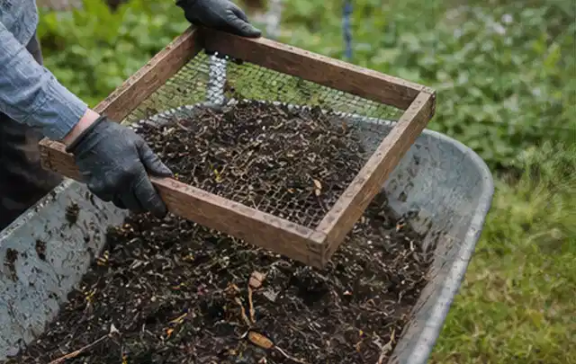 Behandschuhte Hände sieben reifen Kompost über einer Gartenschubkarre; Thema Kohl, Schwerpunkt Standort; Ergebnis.