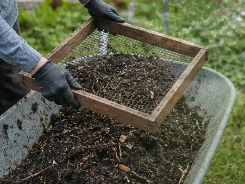 Behandschuhte Hände sieben reifen Kompost über einer Gartenschubkarre; Thema Komposter, Schwerpunkt Anwendung; Titelbild.