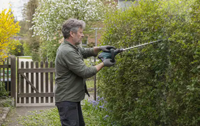 Person schneidet eine Gartenhecke mit einem motorisierten Gartengerät; Thema Komposter, Schwerpunkt Bestenliste; Praxisalltag.