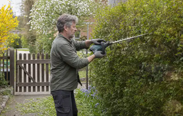 Person schneidet eine Gartenhecke mit einem motorisierten Gartengerät; Thema Komposter, Schwerpunkt Gärten mit großer Fläche; Ausgangslage.