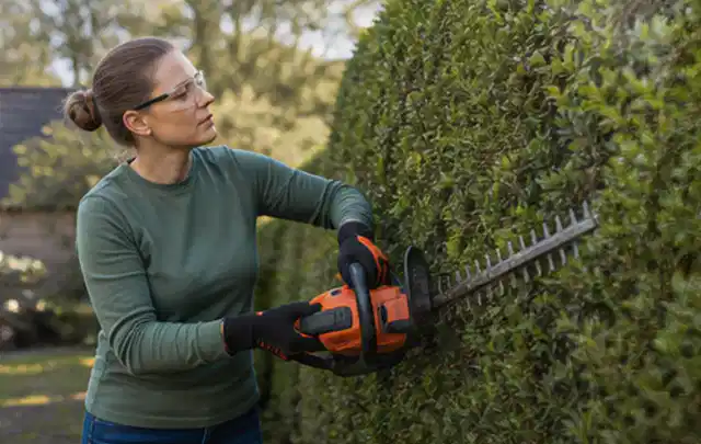 Person schneidet eine dichte Gartenhecke mit Schutzbrille und sicherem Stand; Thema Komposter, Schwerpunkt Gärten mit großer Fläche; Umsetzung.