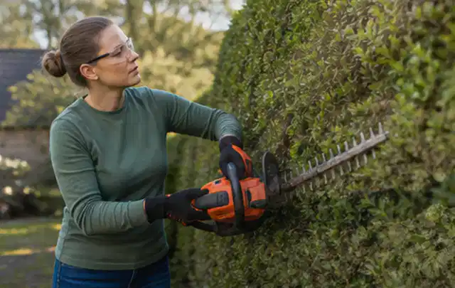 Person schneidet eine dichte Gartenhecke mit Schutzbrille und sicherem Stand; Thema Komposter, Schwerpunkt Gärten mit kleiner Fläche; Ausgangslage.