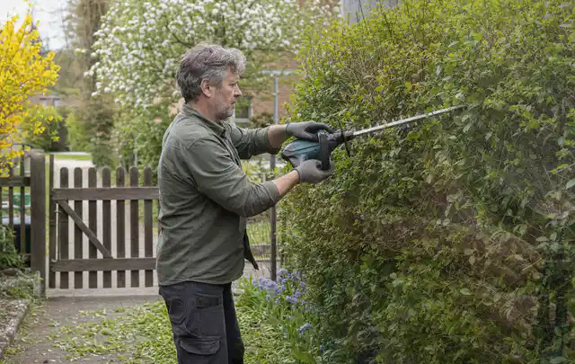 Person schneidet eine Gartenhecke mit einem motorisierten Gartengerät; Thema Komposter, Schwerpunkt Gärten mit kleiner Fläche; Umsetzung.