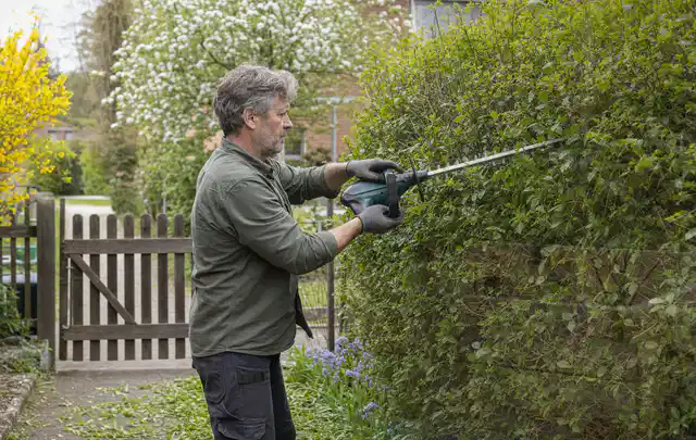 Person schneidet eine Gartenhecke mit einem motorisierten Gartengerät; Thema Komposter, Schwerpunkt Gartengeräte; Ergebnis.