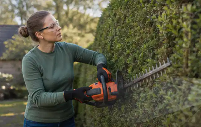 Person schneidet eine dichte Gartenhecke mit Schutzbrille und sicherem Stand; Thema Komposter, Schwerpunkt Kosten; Ausgangslage.