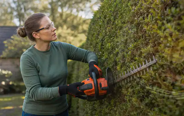 Person schneidet eine dichte Gartenhecke mit Schutzbrille und sicherem Stand; Thema Komposter, Schwerpunkt Leistung; Umsetzung.