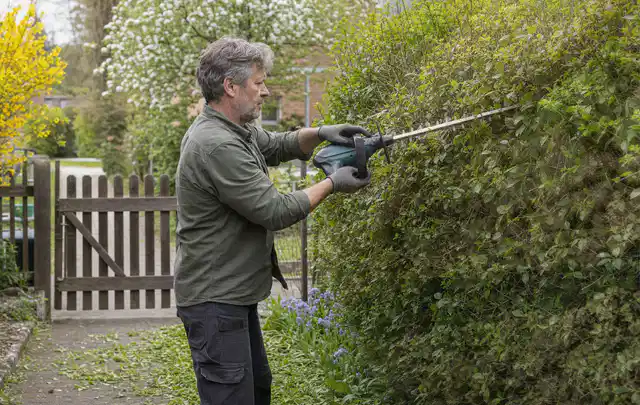 Person schneidet eine Gartenhecke mit einem motorisierten Gartengerät; Thema Komposter, Schwerpunkt Reparatur; Umsetzung.