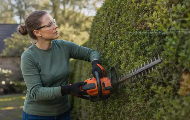 Person schneidet eine dichte Gartenhecke mit Schutzbrille und sicherem Stand; Thema Komposter, Schwerpunkt Reparatur; Kontrolle.