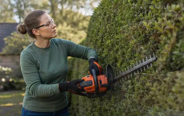 Person schneidet eine dichte Gartenhecke mit Schutzbrille und sicherem Stand; Thema Komposter, Schwerpunkt Testkriterien; Kontrolle.