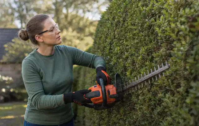Person schneidet eine dichte Gartenhecke mit Schutzbrille und sicherem Stand; Thema Komposter, Schwerpunkt Vergleich; Ausgangslage.