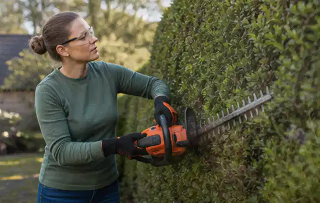 Person schneidet eine dichte Gartenhecke mit Schutzbrille und sicherem Stand; Thema Komposter, Schwerpunkt Wartung; Ergebnis.