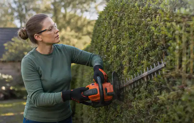 Person schneidet eine dichte Gartenhecke mit Schutzbrille und sicherem Stand; Thema Komposter, Schwerpunkt Winterlager; Ausgangslage.