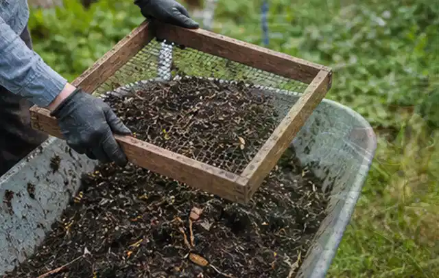 Behandschuhte Hände sieben reifen Kompost über einer Gartenschubkarre; Thema Koriander, Schwerpunkt Balkongarten; Kontrolle.