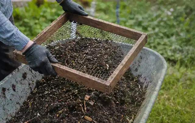 Behandschuhte Hände sieben reifen Kompost über einer Gartenschubkarre; Thema Kräuter im Hochbeet, Schwerpunkt Bewässerung; Praxisalltag.