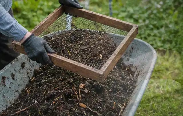 Behandschuhte Hände sieben reifen Kompost über einer Gartenschubkarre; Thema Kräuter im Hochbeet, Schwerpunkt Ernte; Ergebnis.