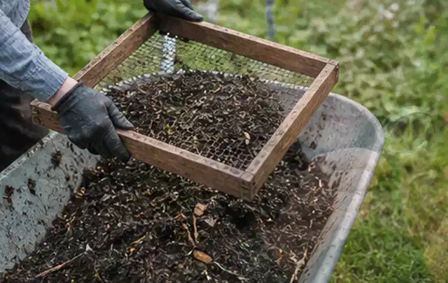 Behandschuhte Hände sieben reifen Kompost über einer Gartenschubkarre; Thema Kräuter im Hochbeet, Schwerpunkt Gesundheit; Ausgangslage.