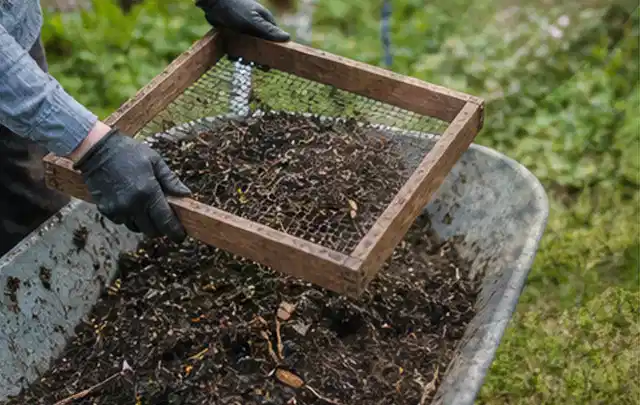 Behandschuhte Hände sieben reifen Kompost über einer Gartenschubkarre; Thema Kräuter im Hochbeet, Schwerpunkt Hochbeete; Ergebnis.
