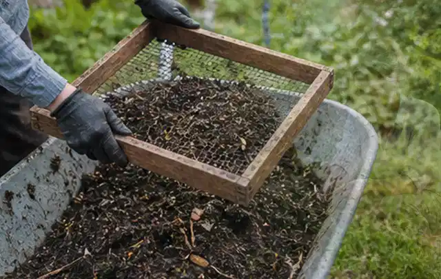 Behandschuhte Hände sieben reifen Kompost über einer Gartenschubkarre; Thema Kräuter im Hochbeet, Schwerpunkt Nährstoffe; Ergebnis.