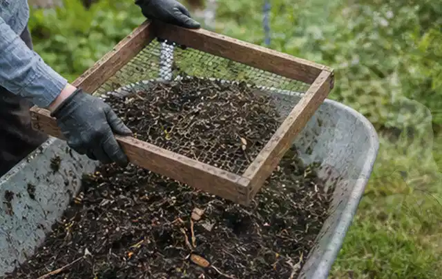 Behandschuhte Hände sieben reifen Kompost über einer Gartenschubkarre; Thema Kräuter im Hochbeet, Schwerpunkt Pflanzenschutz; Umsetzung.