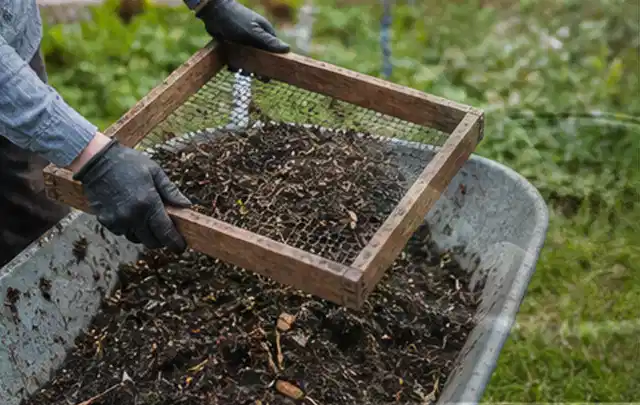 Behandschuhte Hände sieben reifen Kompost über einer Gartenschubkarre; Thema Kräuter im Hochbeet, Schwerpunkt Pflanzung; Umsetzung.