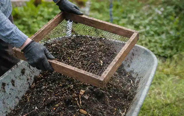 Behandschuhte Hände sieben reifen Kompost über einer Gartenschubkarre; Thema Kräuter im Hochbeet, Schwerpunkt Saisonkalender; Kontrolle.