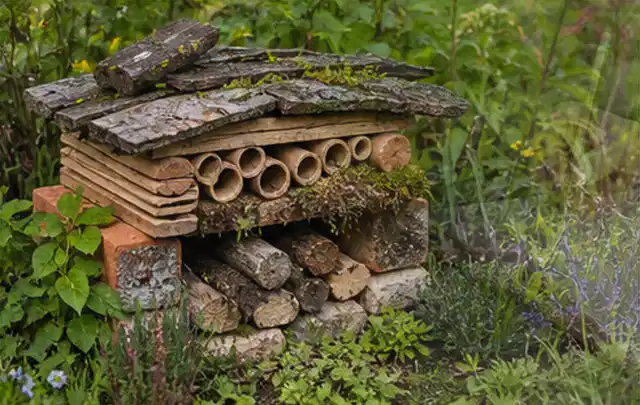 Naturnaher Unterschlupf aus Holz Rinde und Pflanzenstängeln im Garten; Thema Krankheiten, Schwerpunkt Schädlinge Krankheiten; Umsetzung.