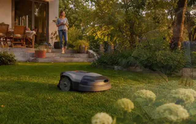 Mähroboter fährt am Abend über einen Rasen im Familiengarten; Thema Kress Mission, Schwerpunkt Bestenliste; Praxisalltag.