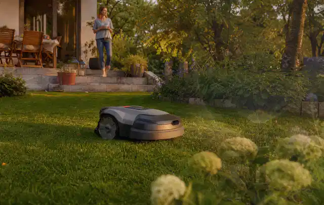 Mähroboter fährt am Abend über einen Rasen im Familiengarten; Thema Kress Mission, Schwerpunkt Checkliste; Ausgangslage.