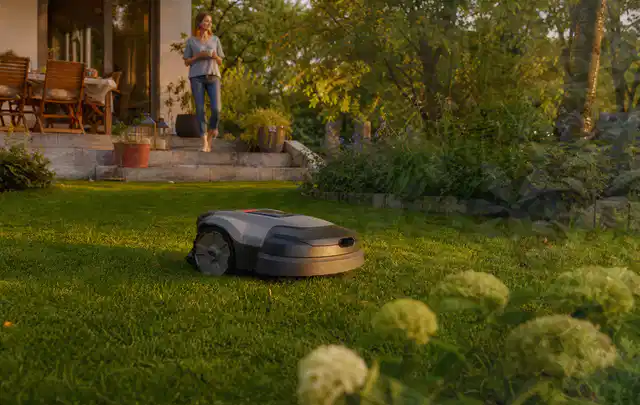 Mähroboter fährt am Abend über einen Rasen im Familiengarten; Thema Kress Mission, Schwerpunkt Gärten mit kleiner Fläche; Praxisalltag.