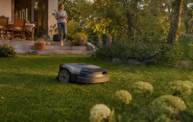 Mähroboter fährt am Abend über einen Rasen im Familiengarten; Thema Kress Mission, Schwerpunkt Kosten; Praxisalltag.