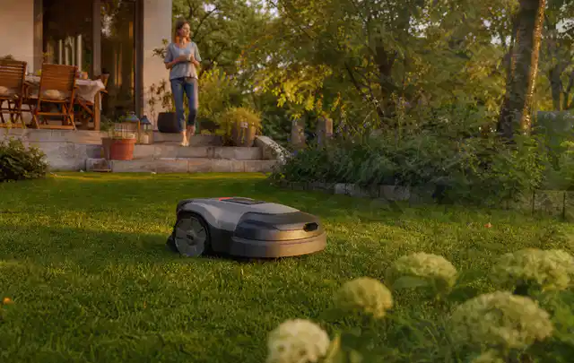 Mähroboter fährt am Abend über einen Rasen im Familiengarten; Thema Kress Mission, Schwerpunkt Reinigung; Ergebnis.