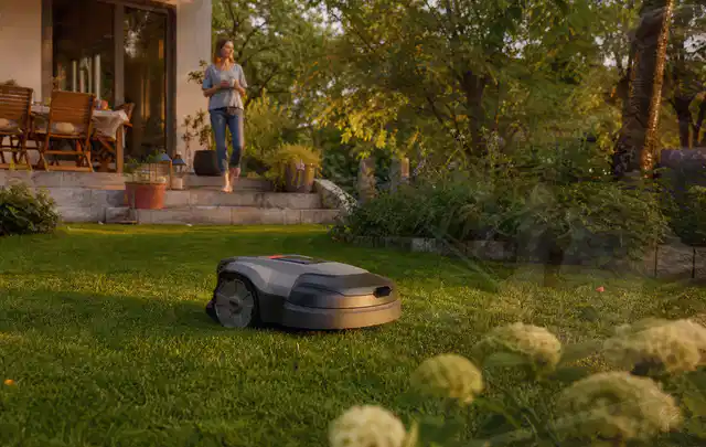 Mähroboter fährt am Abend über einen Rasen im Familiengarten; Thema Kress Mission, Schwerpunkt Sicherheit; Ergebnis.