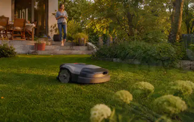 Mähroboter fährt am Abend über einen Rasen im Familiengarten; Thema Kress Mission, Schwerpunkt Systemvergleich; Kontrolle.