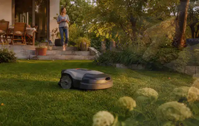 Mähroboter fährt am Abend über einen Rasen im Familiengarten; Thema Kress Mission, Schwerpunkt Testkriterien; Umsetzung.
