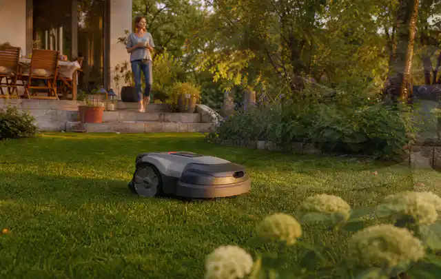 Mähroboter fährt am Abend über einen Rasen im Familiengarten; Thema Kress Mission, Schwerpunkt Wartung; Ausgangslage.