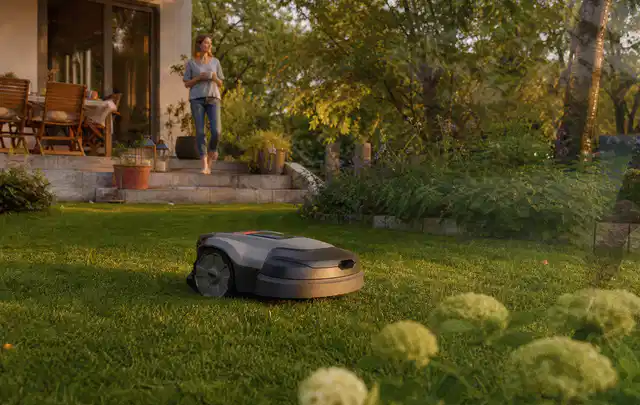 Mähroboter fährt am Abend über einen Rasen im Familiengarten; Thema Kress Mission, Schwerpunkt Winterlager; Ausgangslage.