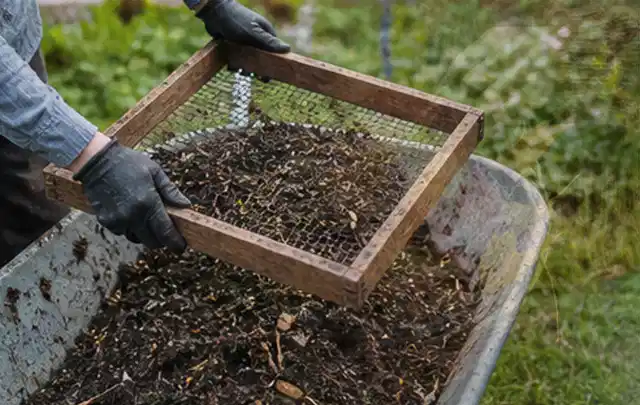 Behandschuhte Hände sieben reifen Kompost über einer Gartenschubkarre; Thema Kürbis, Schwerpunkt Aussaat; Praxisalltag.