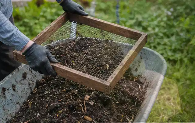 Behandschuhte Hände sieben reifen Kompost über einer Gartenschubkarre; Thema Kürbis, Schwerpunkt Balkongarten; Umsetzung.