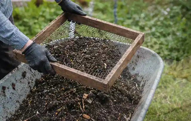 Behandschuhte Hände sieben reifen Kompost über einer Gartenschubkarre; Thema Kürbis, Schwerpunkt Einsteigerwissen; Praxisalltag.