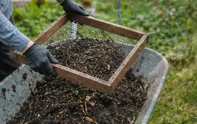 Behandschuhte Hände sieben reifen Kompost über einer Gartenschubkarre; Thema Kürbis, Schwerpunkt Ernteprobleme; Praxisalltag.